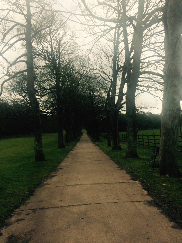 mount edgcumbe