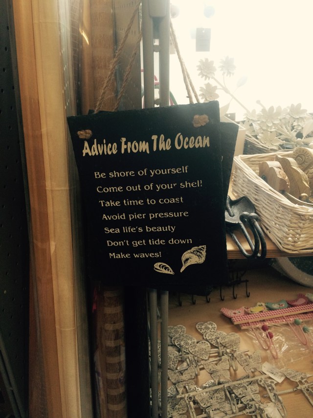 totnes9