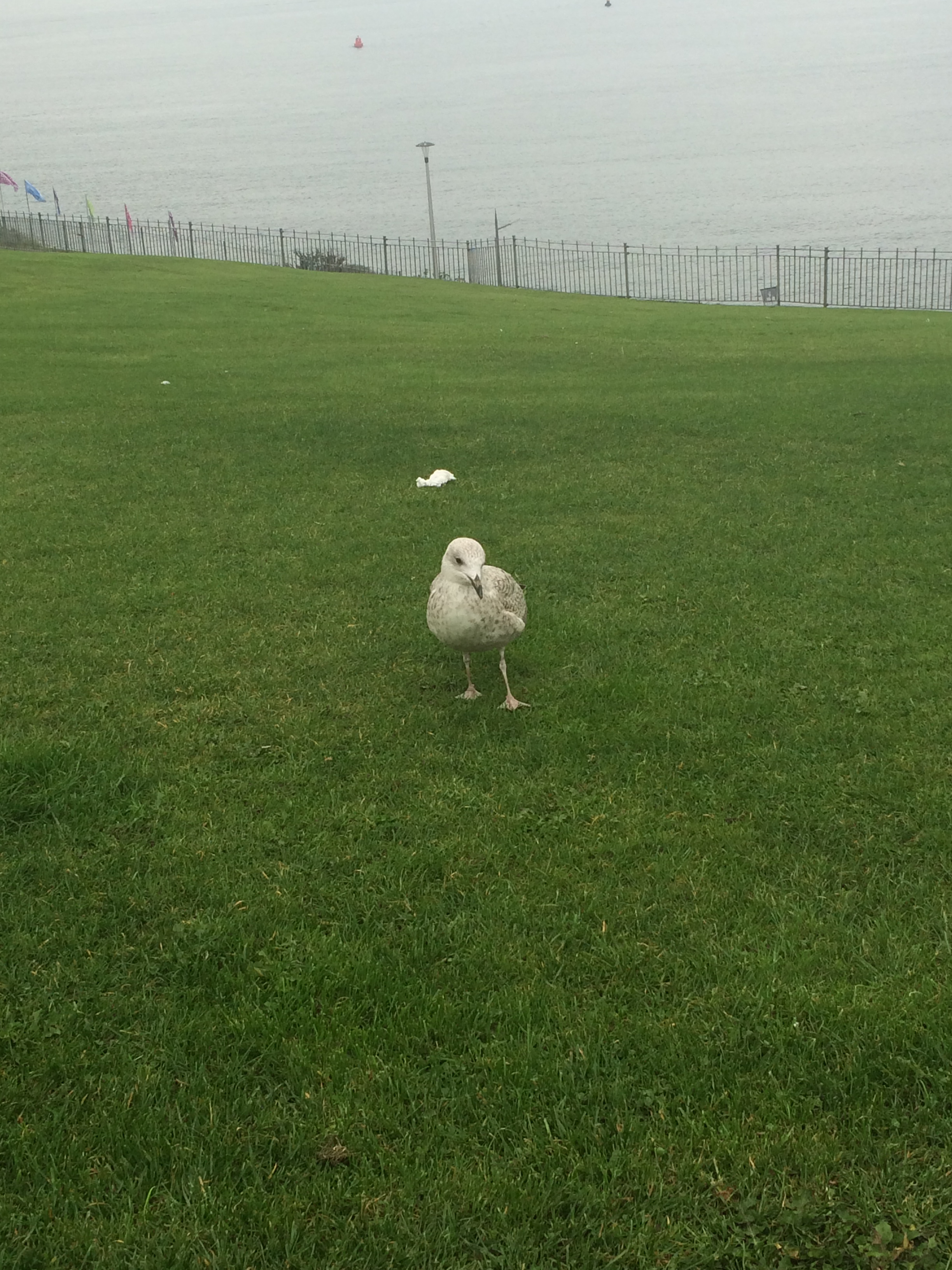 devon-photo-diary-2