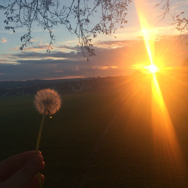 devon-photo-diary-5