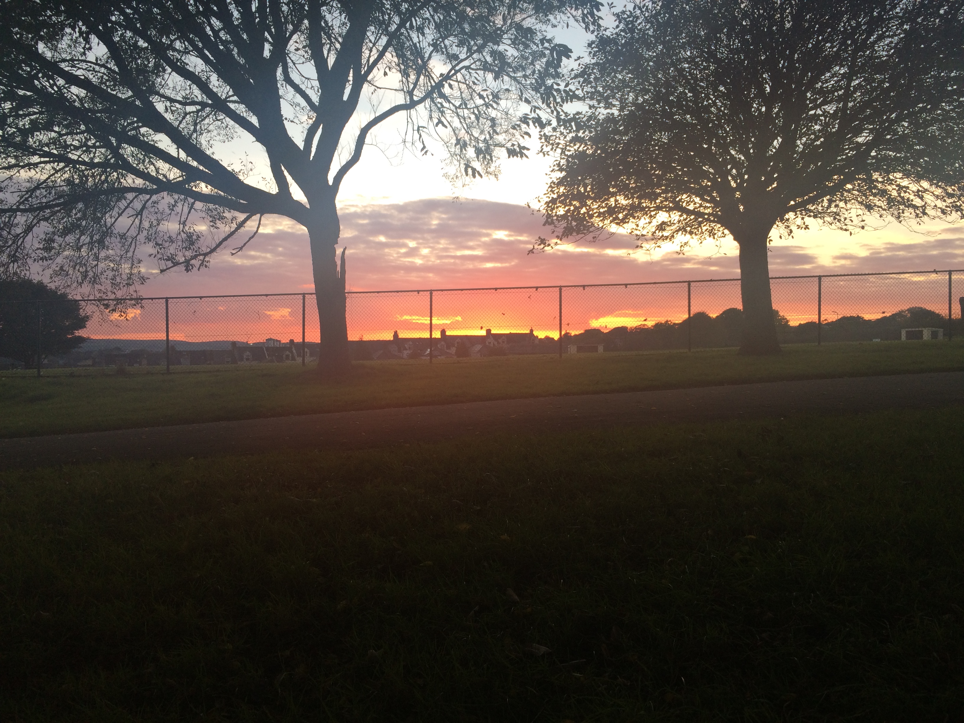 devon-photo-diary-7
